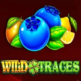 Official Slots logo: Wild Traces by Amusnet Interactive at Karhubet Casino